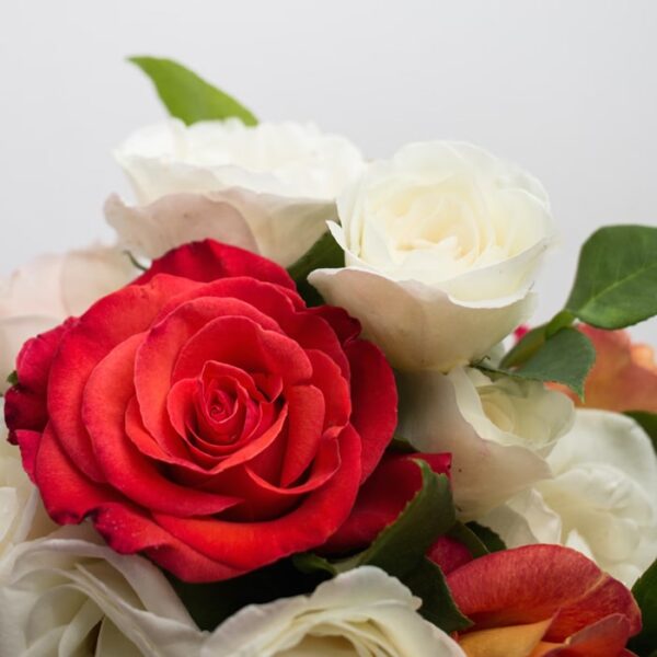 Bouquet de 12 roses sans vase