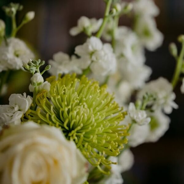 Tige de fleurs