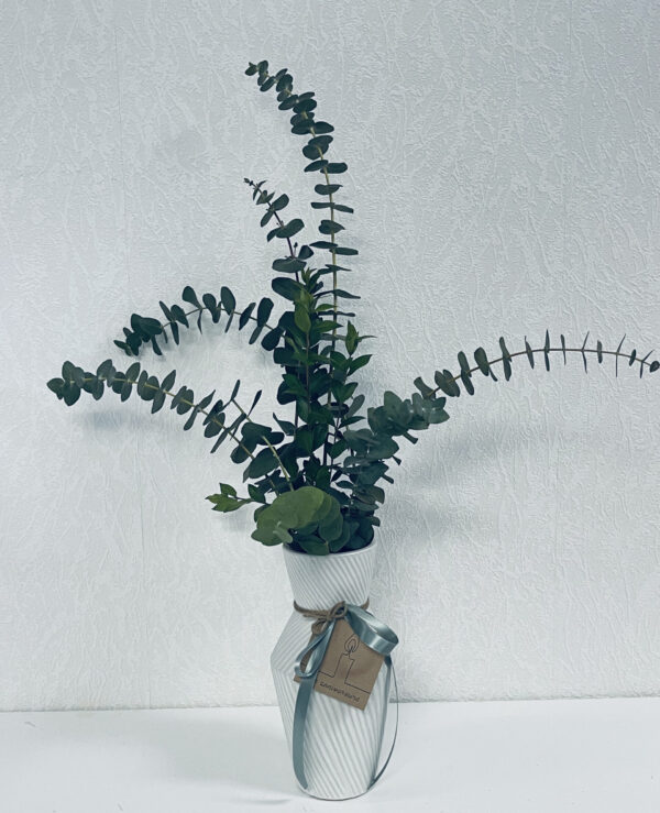 Fleurs Eucalyptus en vase