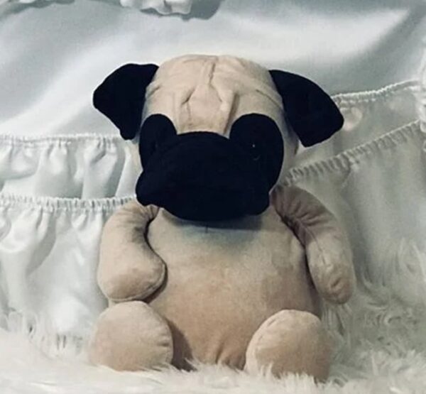 Peluche - Chien pug
