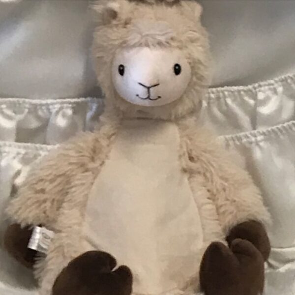 Lama