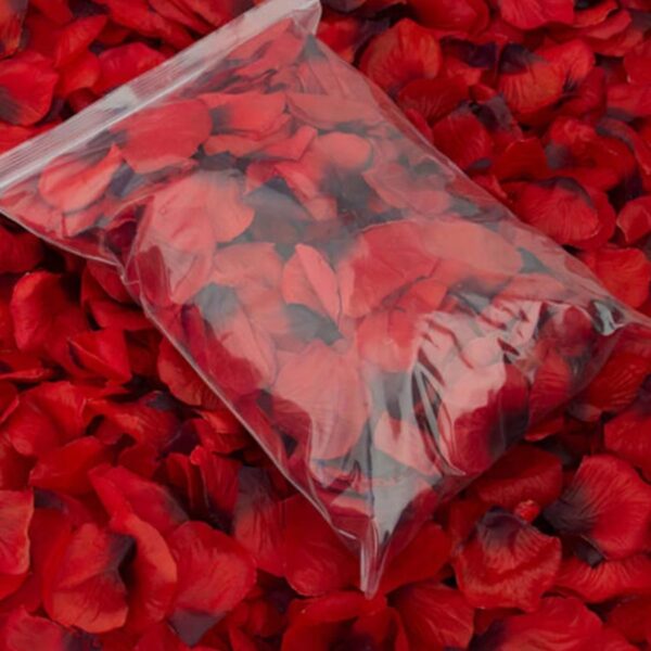 Pétales de rose