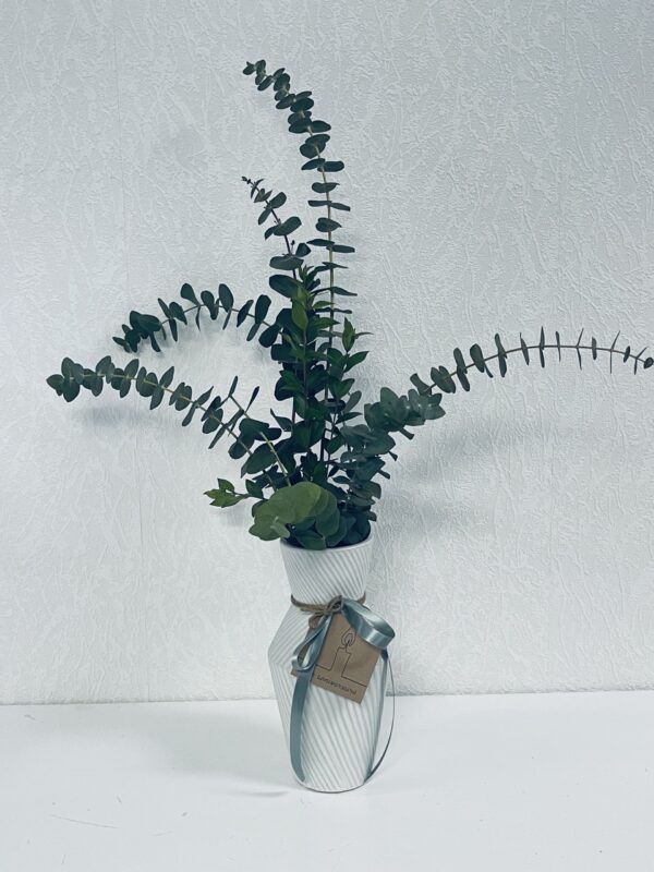 Bouquet d'Eucalyptus